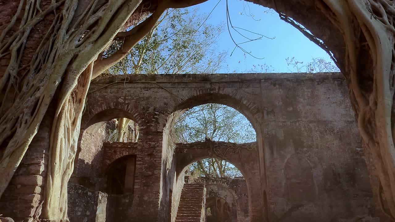 Large tree roots growing on the walls and arches of the Hacienda de San Jacinto Ixtoluca, an old sugar plantation in Morelos, Mexico, showcase nature reclaiming the ruins