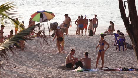 people enjoying a sunny day at the beach