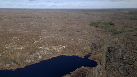 pequeños lagos en una gran zona de incendios forestales en suecia