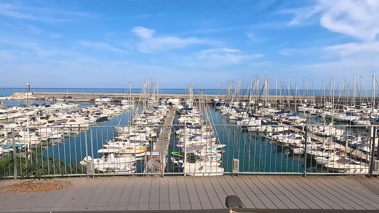 hermosa marina con barcos y exuberante vegetación