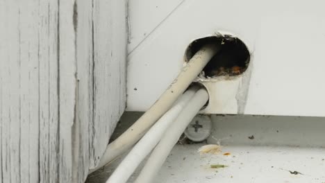 white wires on the holes of the wooden wall in estonia