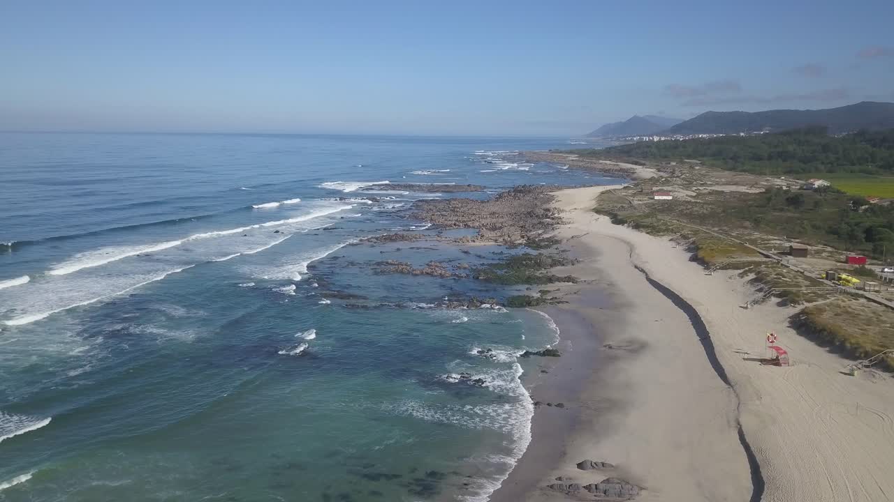 Paisagem de praia em Portugal com areia branca e palmeira