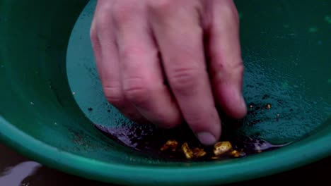 gold panning business success: golden nuggets revealed in green trap pan picked up by caucasian male hand and fingers showing findings, static close up portrait