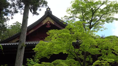 Templo-Del-Santuario-Toshogu-En-Nikko,-Japón,-Con-Un-árbol-En-Primer-Plano
