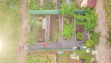 punto de luz contra la vista aérea de la pareja caucásica regando plantas en el jardín