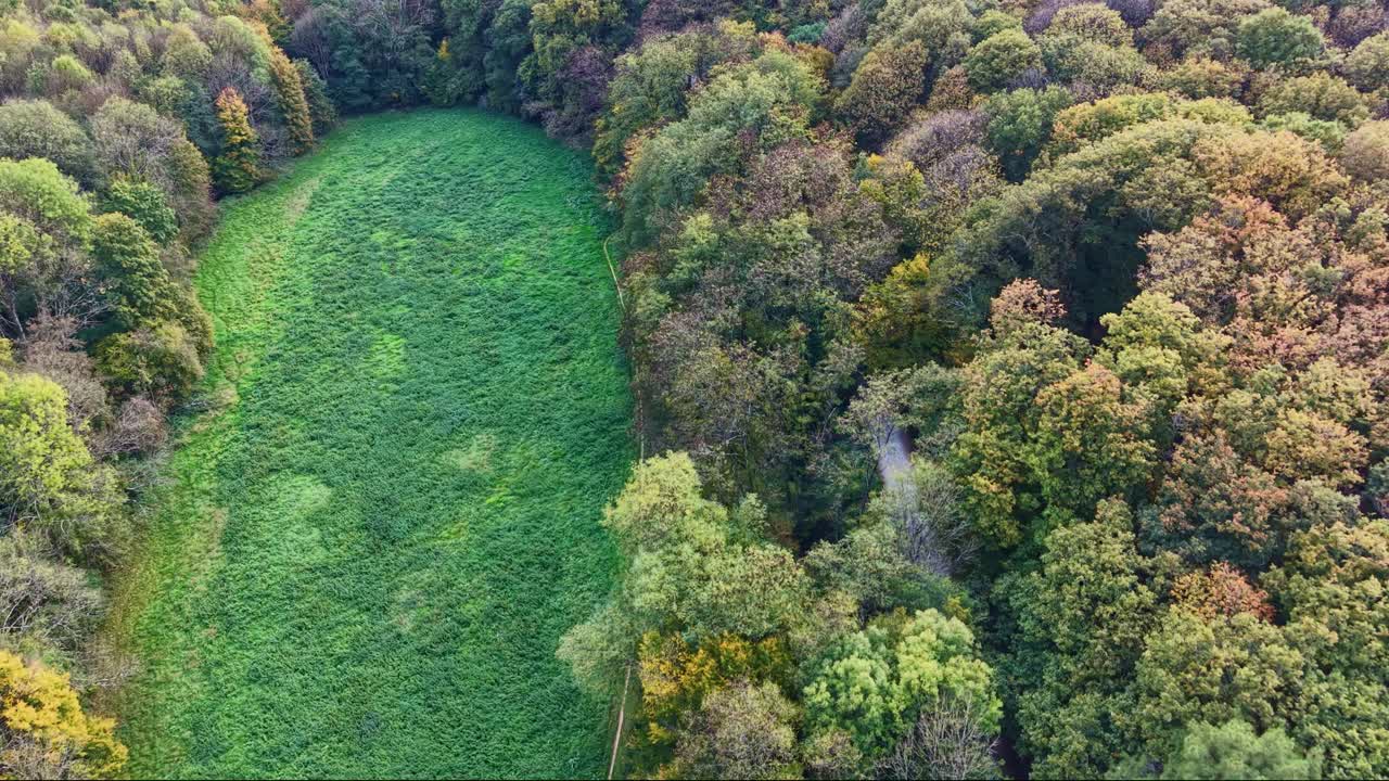 Drone fly over a green meadow surrounded by dense autumn forest with pathway at Concise Forest, Saint-Berthevin, Mayenne, France