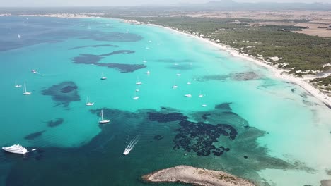 amazing drone aerial landscape of the charming beach es trencs. it has earned the reputation of caribbean beach of mallorca. spain