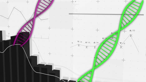 animation of dna strands over data processing on white background