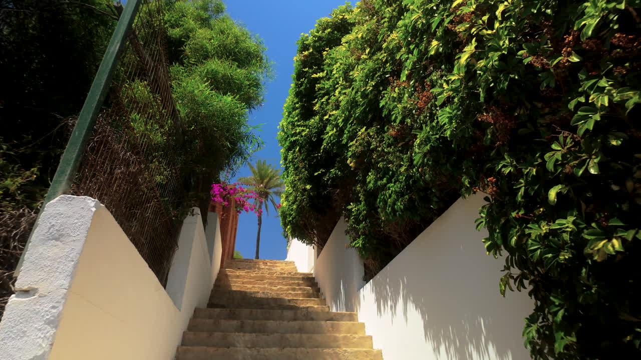 Stone steps leading uphill surrounded by lush greenery and white walls, with a palm tree at the top, in Marbella, Spain.
