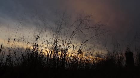 smooth parallax slider shot of tall grass silhouetted against colorful setting sun. meditation concept
