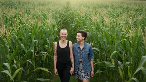 A happy couple walks hand-in-hand through a cornfield