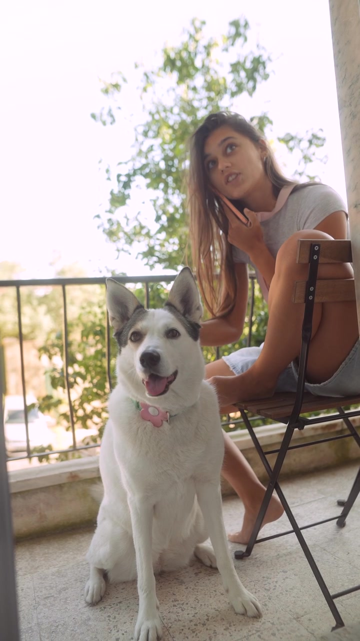 Perro blanco sentado en el balcón con una mujer hablando por teléfono