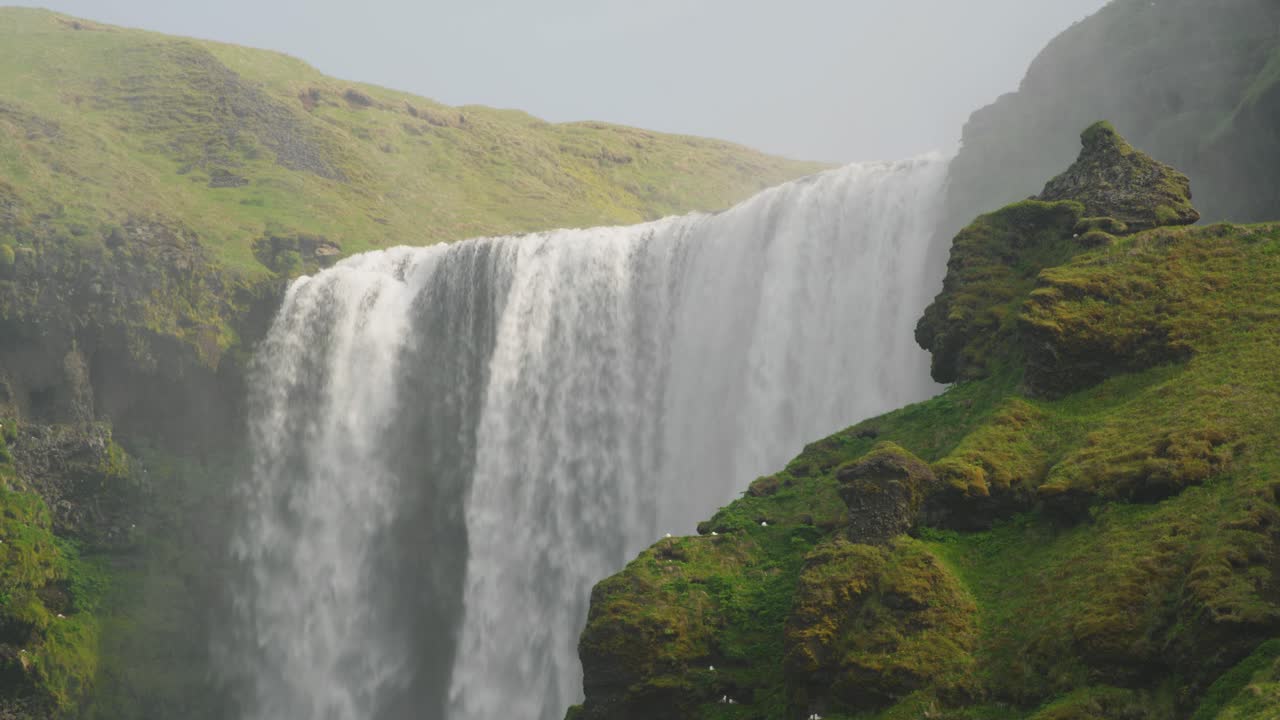 fotografía de cerca de la cascada de skogafoss en islandia, un hermoso día soleado con pájaros posados sobre los acantilados y rocas de musgo