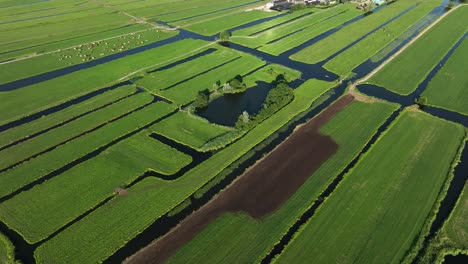 disparo aéreo de drones volando sobre tierras de cultivo de pólder holandés