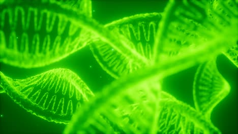 structure-of-the-DNA-double-helix-animation