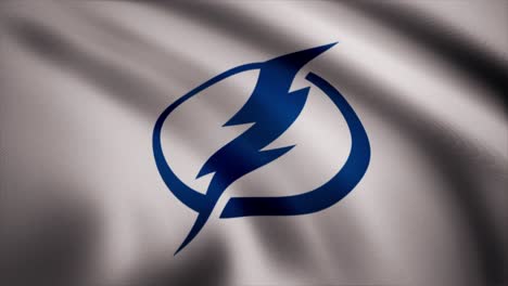 el logotipo de tampa bay lightning en una bandera