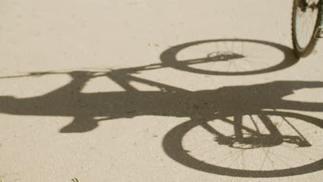 shadow on pavement from man walking in park with bicycle