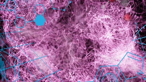 animation of network of connections with chemical structures