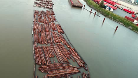 Viele-Baumstämme-Werden-Von-Schleppern-über-Kopf-Geschossen-Und-Flussaufwärts-Gezogen