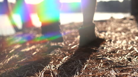 feet and legs of a man walking along the shore of a lake in a pine forest with stylistic chromatic aberration and light leak in slow motion