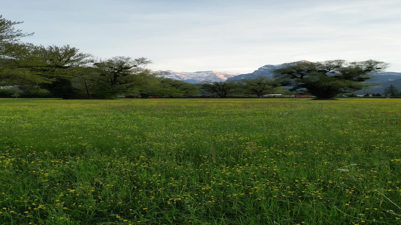 스위스, 유럽 의 발렌슈타트 의 아름다운 꽃 정원