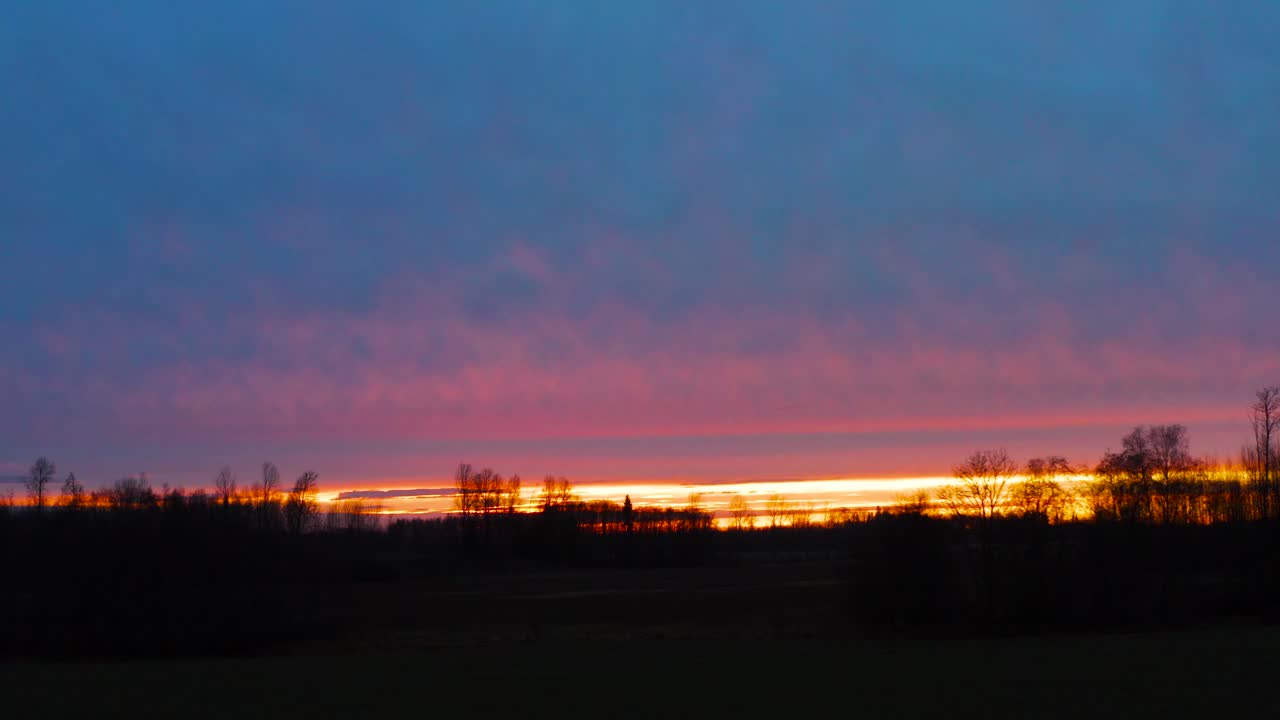 Bright and colorful golden hour sunset with dark forest silhouette