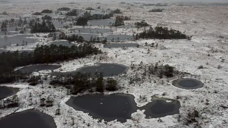 Luftdrohnenansicht-Einer-Gefrorenen-Moorlandschaft-Im-Winter