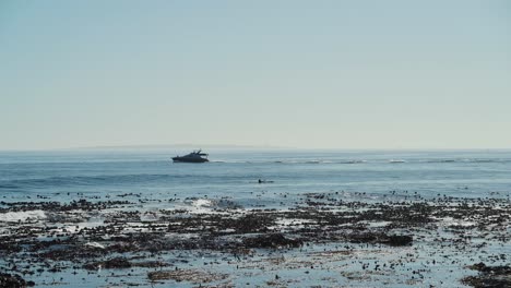 Barco-Y-Kayak-Pasando-Por-El-Océano-4k