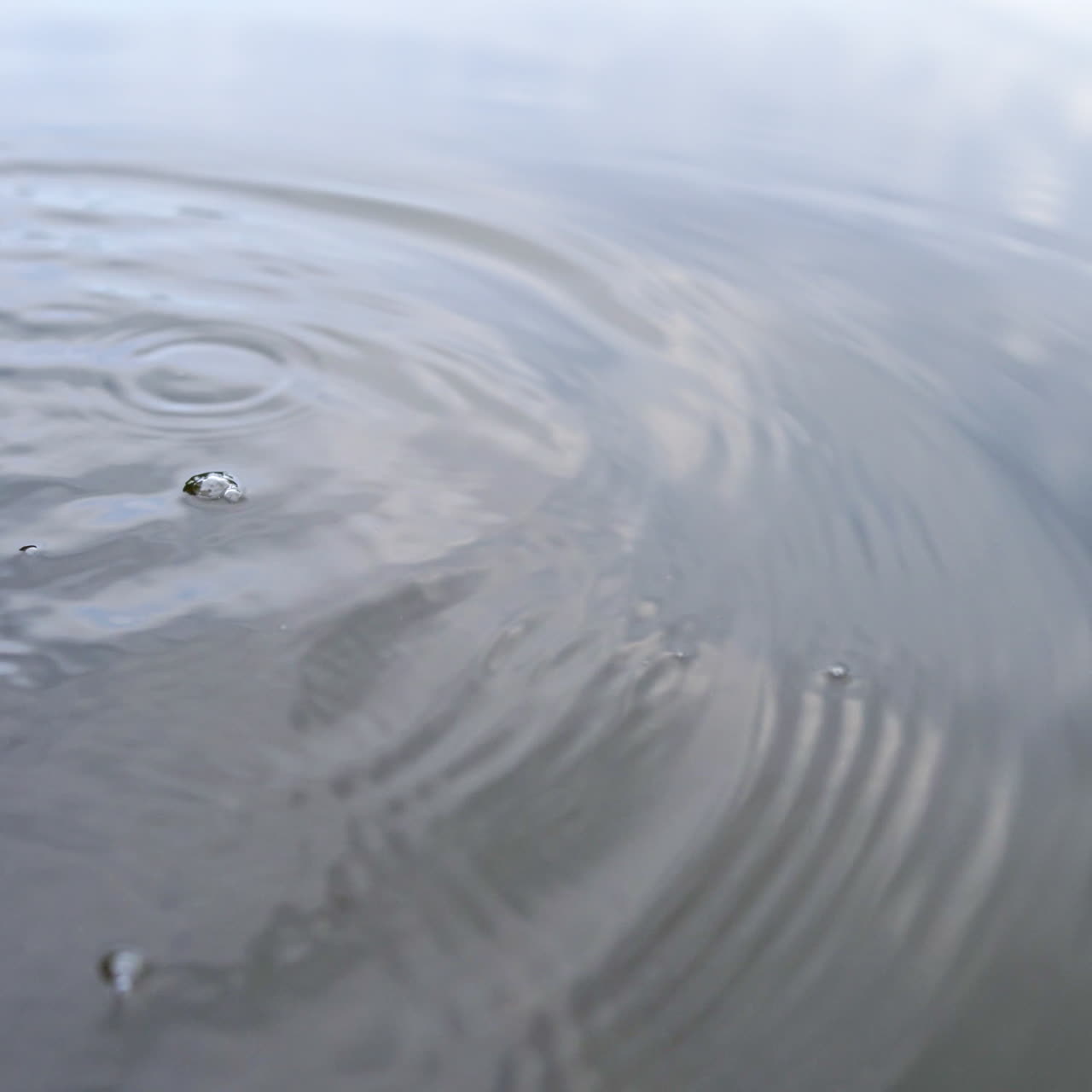 Hands holding alive fish on river background. Fisherman puts river fish into the water and lets it go to swim in summer day. Close-up.