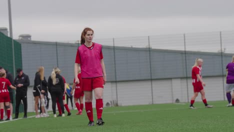 soccer field lifestyle, artificial grass facilities, sporting equality