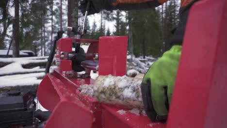 hands in gloves splitting birch firewood with log splitter in winter