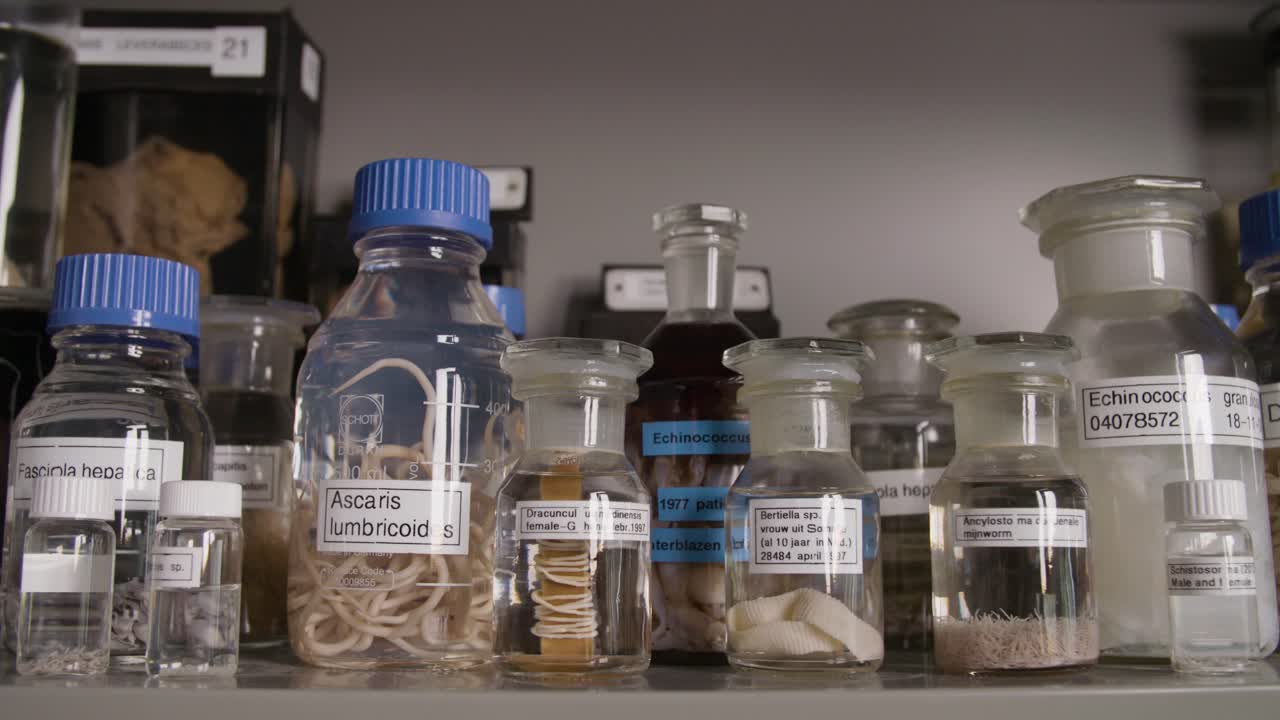 Macro shot of a preserved parasitic worm in a glass jar, labeled and archived in a scientific environment.