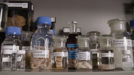 macro shot of a preserved parasitic worm in a glass jar, labeled and archived in a scientific environment.