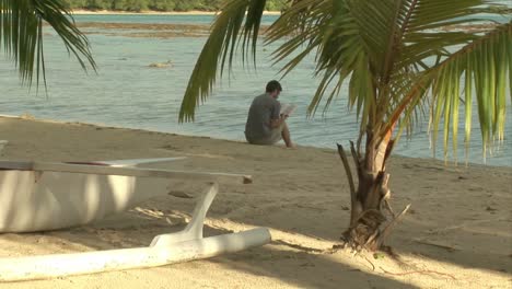 stock footage tropical island