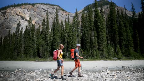 side view of young caucasian hiker couple with backpack hiking near riverside in the forest 4k