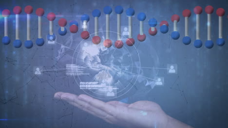 animación de la red de conexiones sobre la cadena de adn