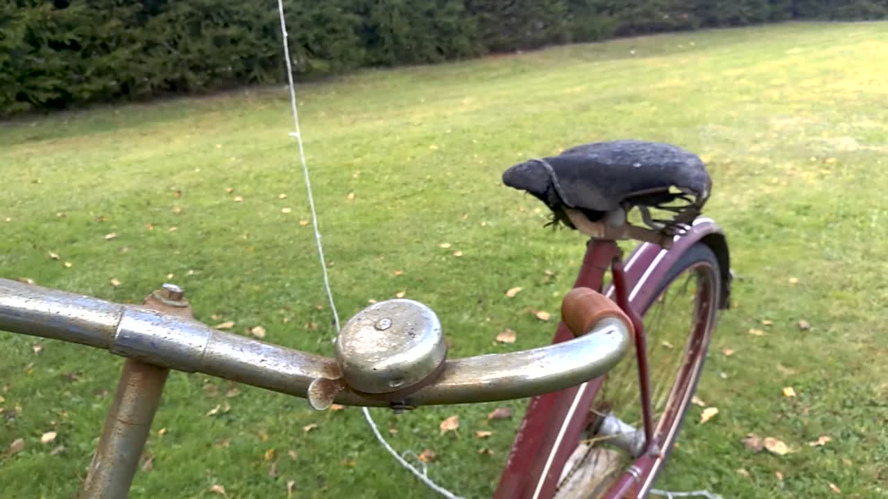 Retro rusty bike standing on the grass in the yard