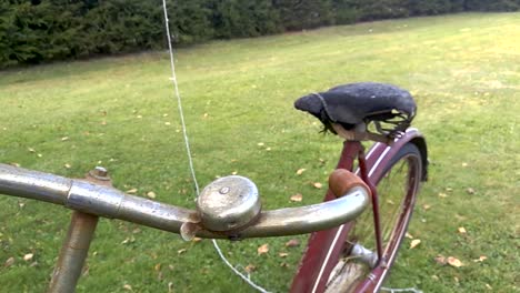 retro rusty bike standing on the grass in the yard