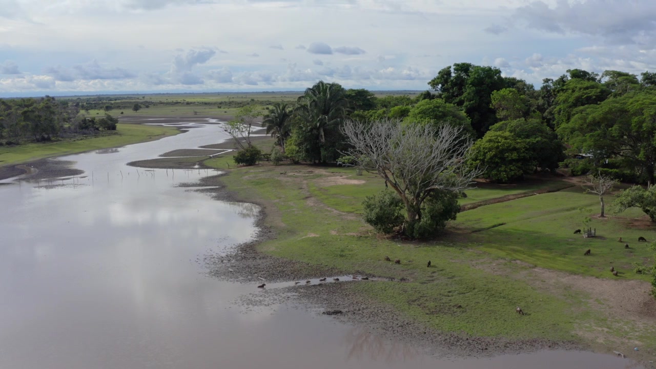Aerial footage of a capybara group grazing near a winding river in Colombia’s lush Orinoquía Llanos savanna under dramatic clouds, showcasing wild nature and tranquil scenery.