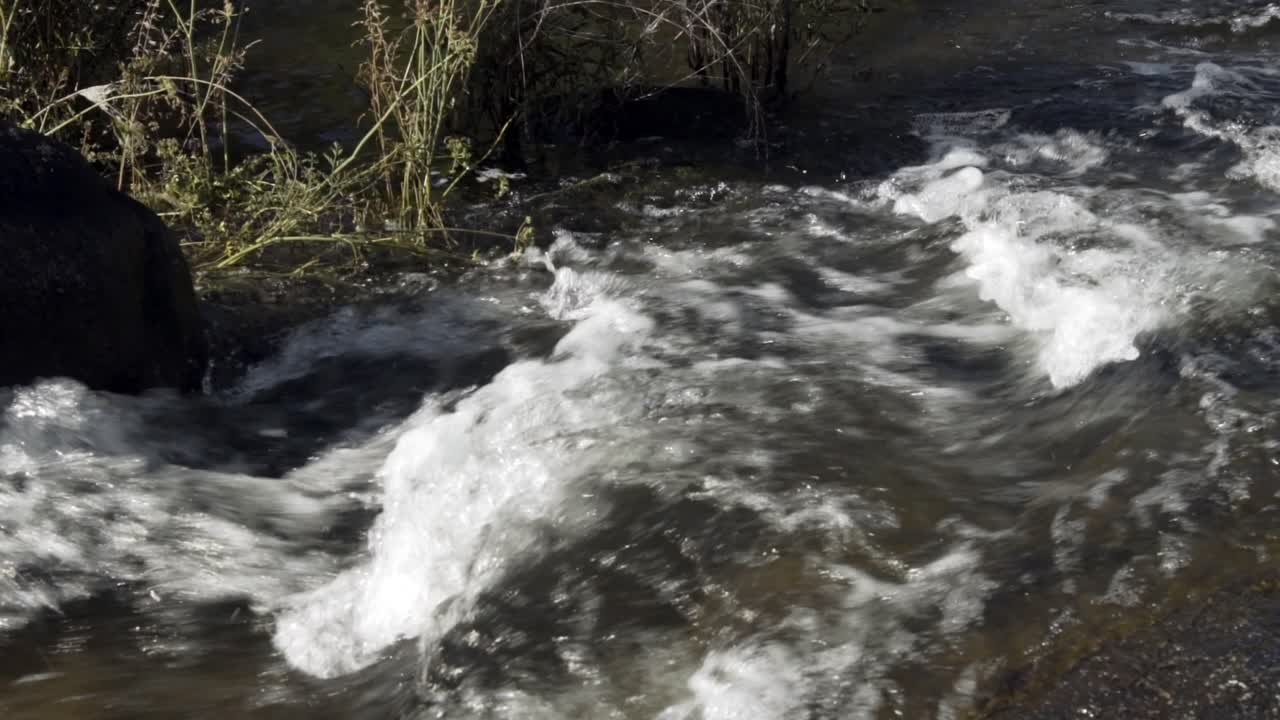 울창한 녹색 숲 사이로 흐르는 개울과 빠른 흐름이 바위 위로 굴러떨어집니다.