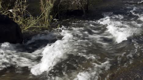 The-stream-flowing-through-a-lush-green-woodland-with-a-swift-current-tumbling-over-rocks