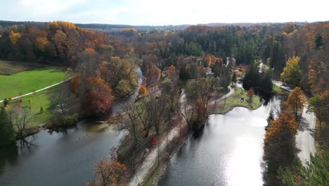 drone flying over the top of trees in the fall on a sunny day