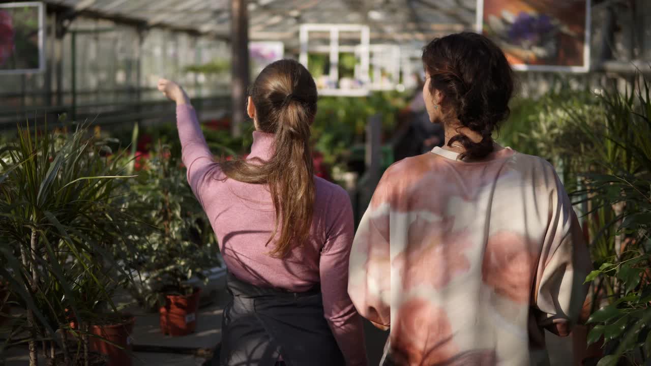 vista posterior de una florista joven caminando con un cliente y mostrándole diferentes plantas, explicando información. una mujer joven está escuchando atentamente a la florista