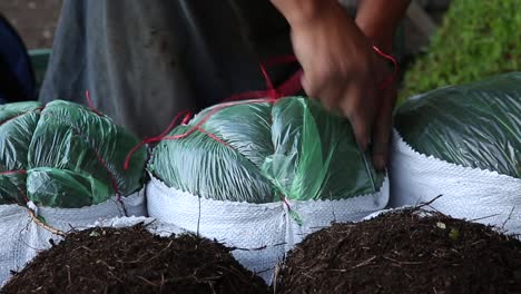 hombre vendiendo tierra para jardín en mercado de plantas xochimilco