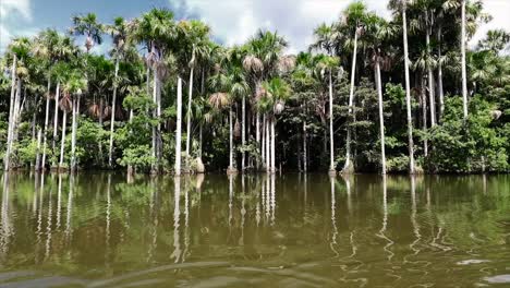 lake tambopata in peruvian amazon