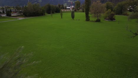 aerial view of a person walking a dog in a green park with mountains in the background
