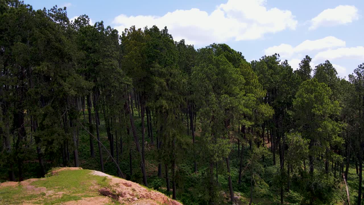 아프리카의 작은 마을의 숲의 드론 뷰 웨스트 포코트 케냐 아프리카