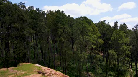 drone view of forest in a small village of africa town west pokot kenya africa