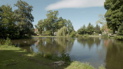 small lake in beautiful green park in summer