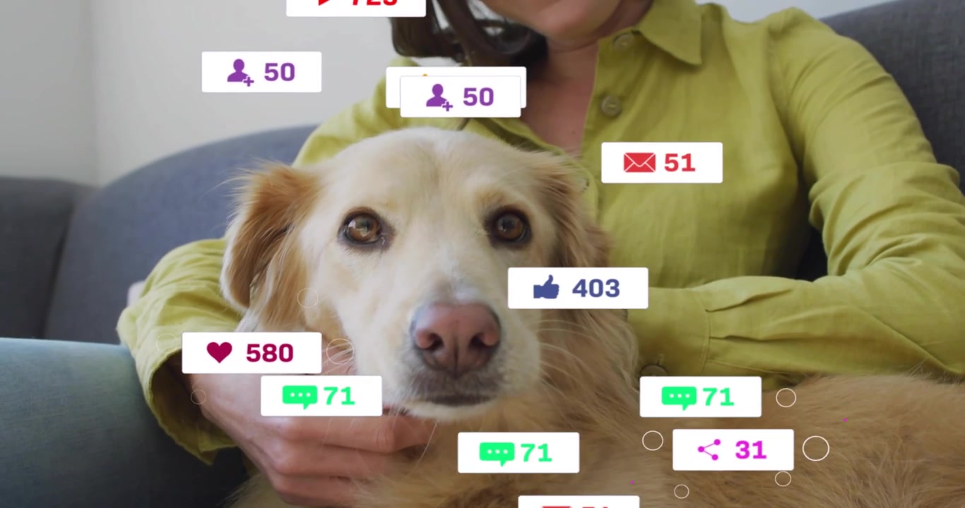 Donna che accarezza un cane sul divano mentre porta lo smartphone all'orecchio e monitora le statistiche social tramite icone.